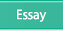 Essay