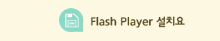 Flash Player ġ